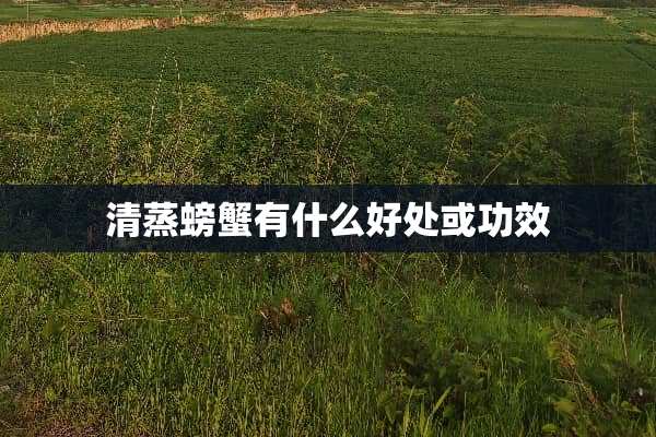 清蒸螃蟹有什么好处或功效