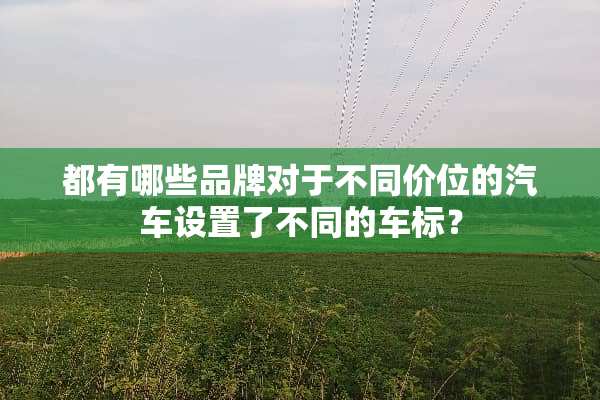 都有哪些品牌对于不同价位的汽车设置了不同的车标？