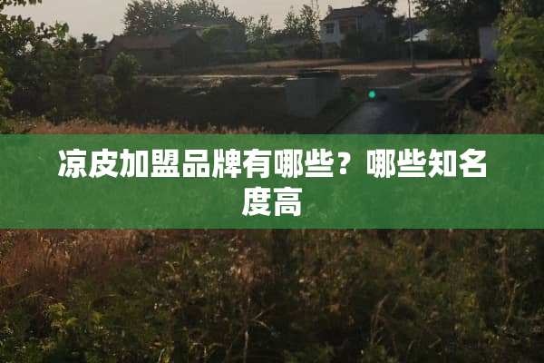 凉皮加盟品牌有哪些？哪些知名度高