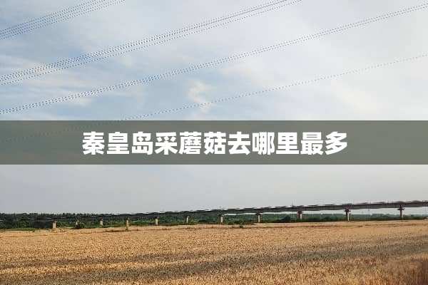 秦皇岛采蘑菇去哪里最多