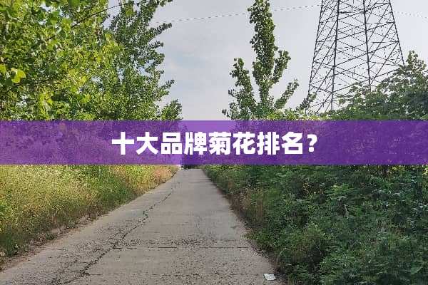 十大品牌菊花排名？