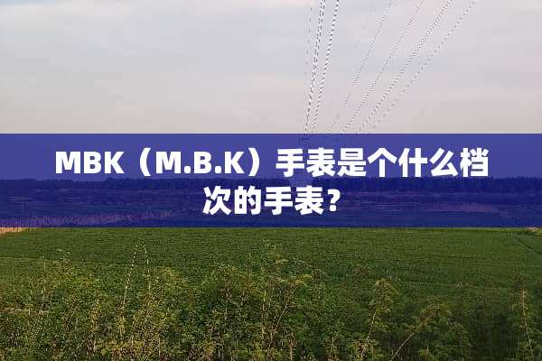 MBK（M.B.K）手表是个什么档次的手表？