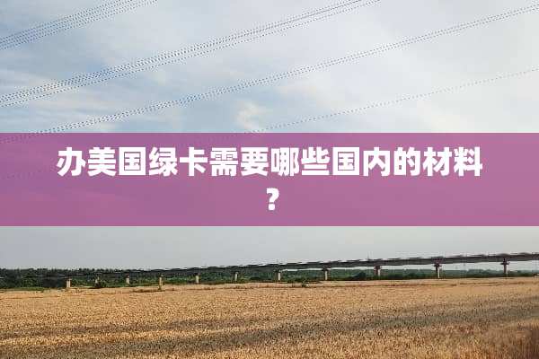 办美国绿卡需要哪些国内的材料？