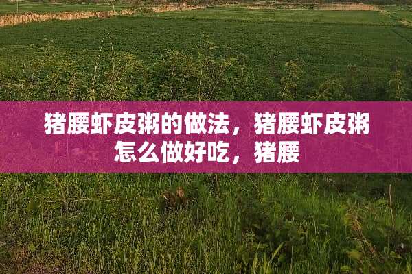 猪腰虾皮粥的做法，猪腰虾皮粥怎么做好吃，猪腰