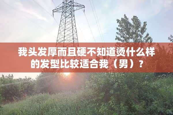 我头发厚而且硬不知道烫什么样的发型比较适合我（男）？