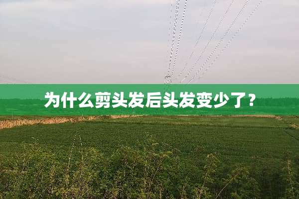 为什么剪头发后头发变少了？