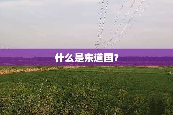 什么是东道国？
