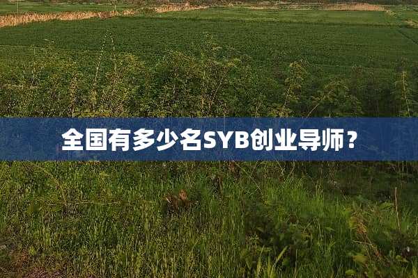 全国有多少名SYB创业导师？