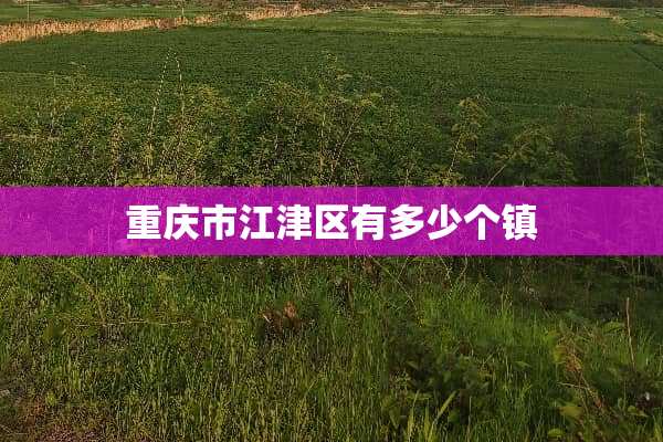 重庆市江津区有多少个镇