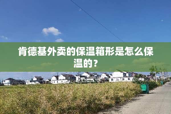 肯德基外卖的保温箱形是怎么保温的？