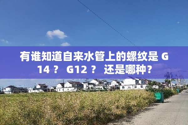有谁知道自来水管上的螺纹是 G14 ？ G12 ？ 还是哪种？