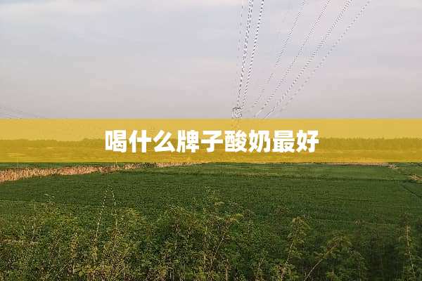 喝什么牌子酸奶最好