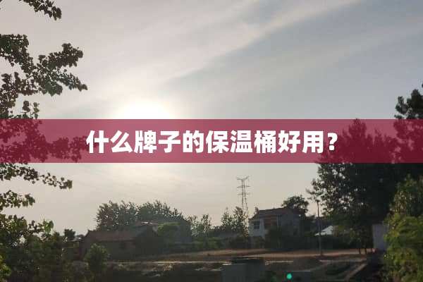 什么牌子的保温桶好用？