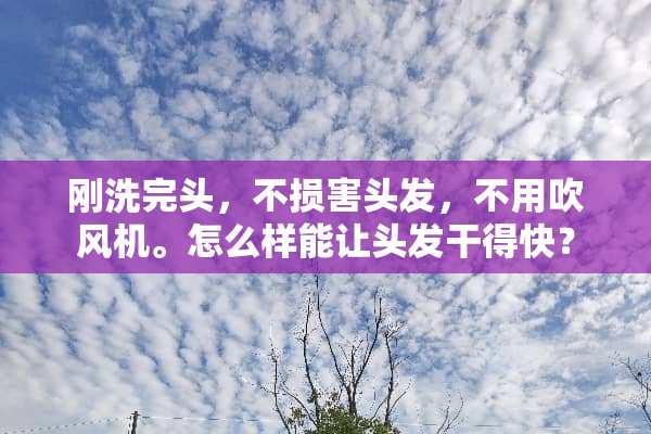 刚洗完头，不损害头发，不用吹风机。怎么样能让头发干得快？