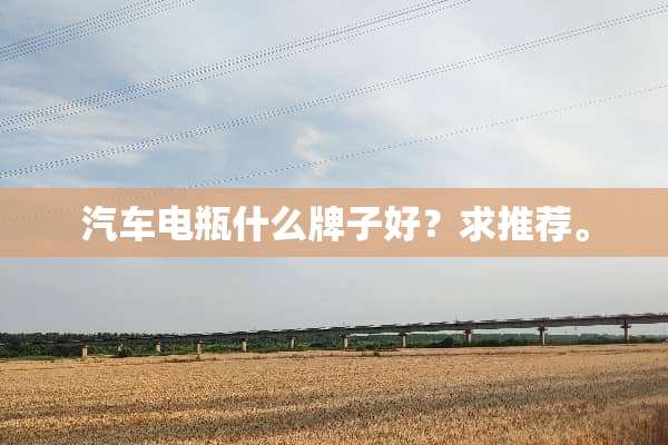 汽车电瓶什么牌子好？求推荐。