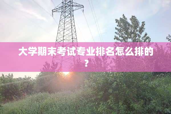 大学期末考试专业排名怎么排的？