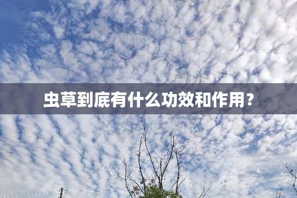 虫草到底有什么功效和作用？