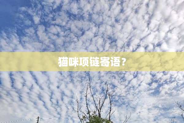 猫咪项链寄语？