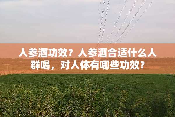 人参酒功效？人参酒合适什么人群喝，对人体有哪些功效？
