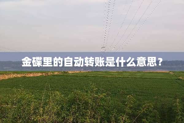 金碟里的自动转账是什么意思？