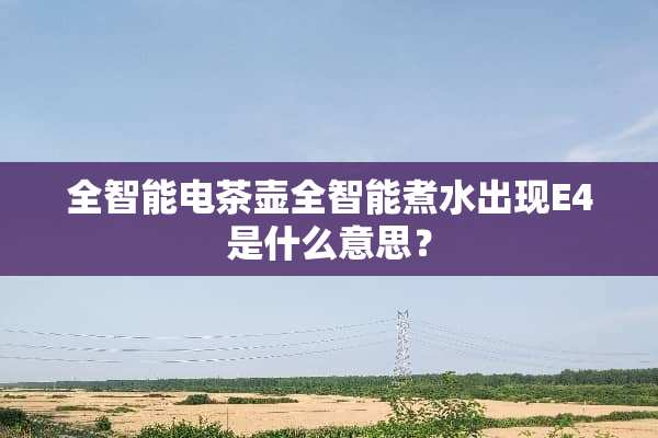 全智能电茶壶全智能煮水出现E4是什么意思？