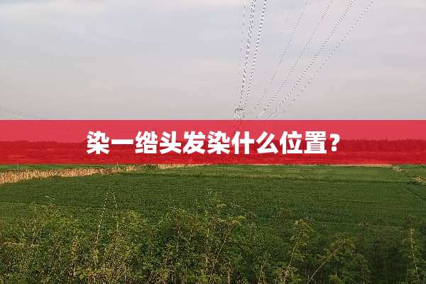 染一绺头发染什么位置？