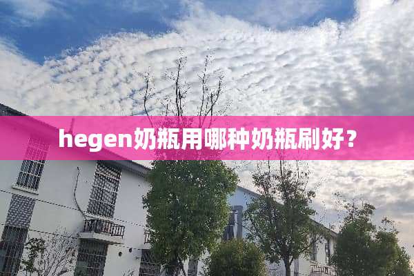hegen奶瓶用哪种奶瓶刷好？