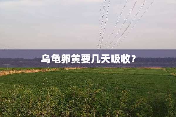乌龟卵黄要几天吸收？