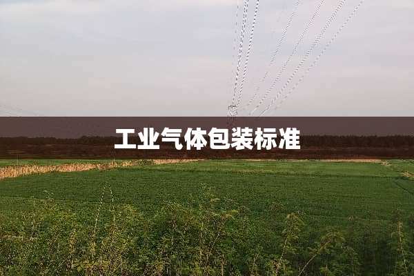 工业气体包装标准
