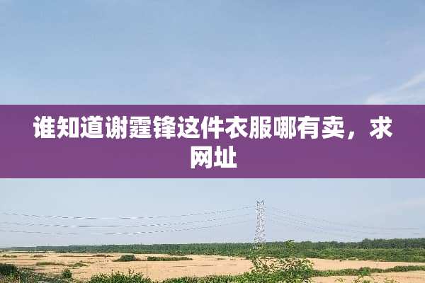 谁知道谢霆锋这件衣服哪有卖，求网址