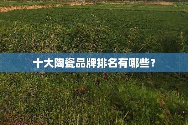十大陶瓷品牌排名有哪些？