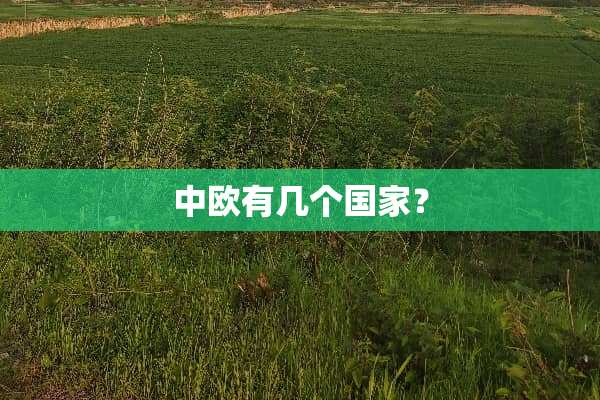 中欧有几个国家？