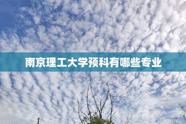 南京理工大学预科有哪些专业