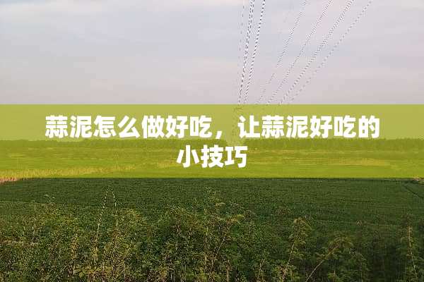 蒜泥怎么做好吃，让蒜泥好吃的小技巧