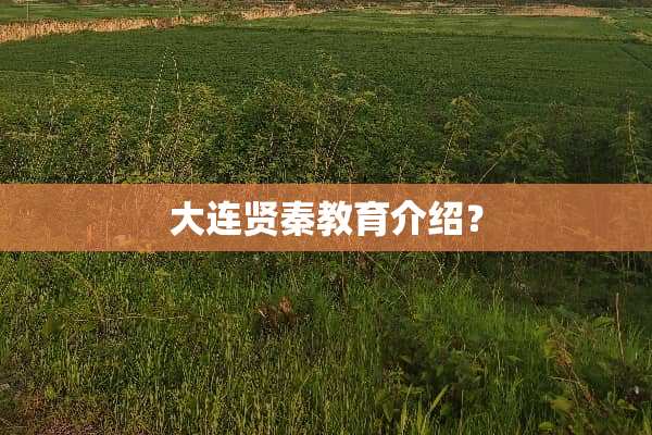 大连贤秦教育介绍？