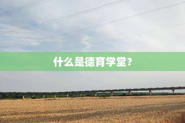 什么是德育学堂？