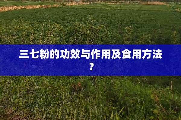 三七粉的功效与作用及食用方法？