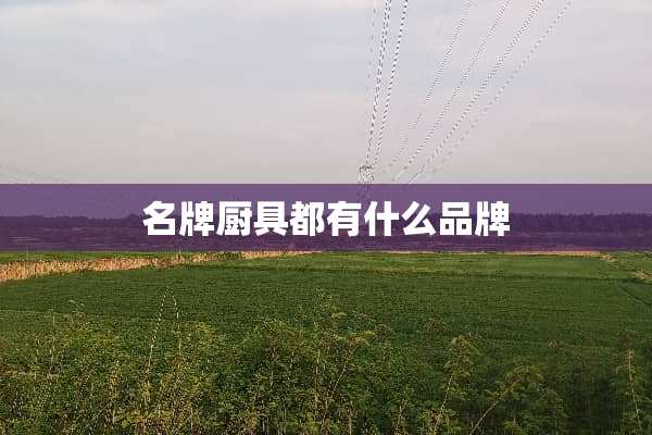 名牌厨具都有什么品牌