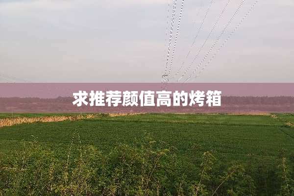 求推荐颜值高的烤箱