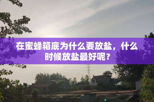 在蜜蜂箱底为什么要放盐，什么时候放盐最好呢？