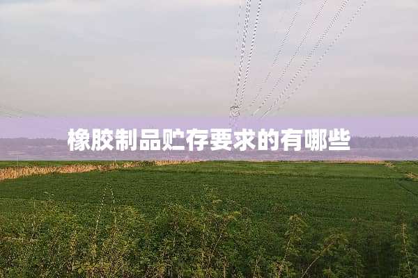 橡胶制品贮存要求的有哪些