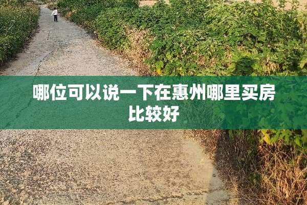 哪位可以说一下在惠州哪里买房比较好
