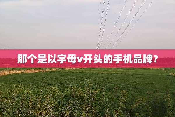 那个是以字母v开头的手机品牌？