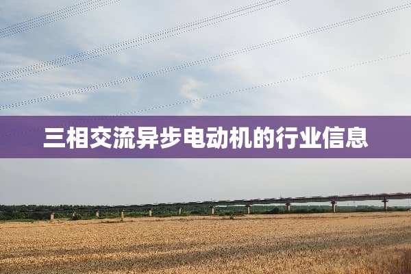 三相交流异步电动机的行业信息