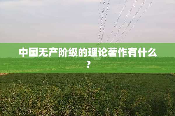 中国无产阶级的理论著作有什么？