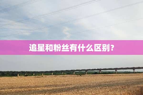追星和粉丝有什么区别？
