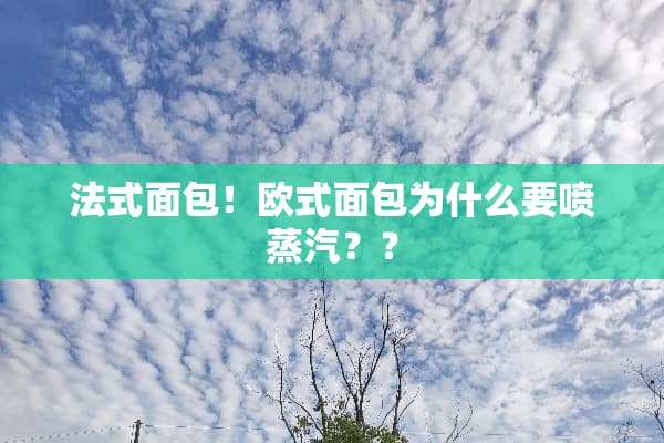 法式面包！欧式面包为什么要喷蒸汽？？
