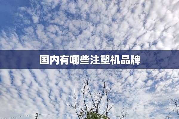 国内有哪些注塑机品牌