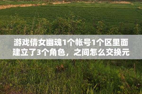 游戏倩女幽魂1个帐号1个区里面建立了3个角色，之间怎么交换元宝银两装备啊？