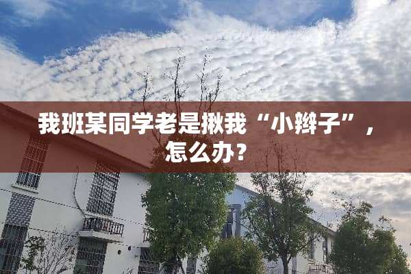 我班某同学老是揪我“小辫子”，怎么办？